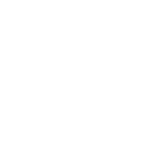 Phone Call